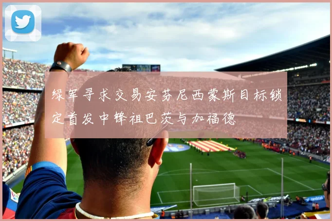 绿军寻求交易安芬尼西蒙斯目标锁定首发中锋祖巴茨与加福德