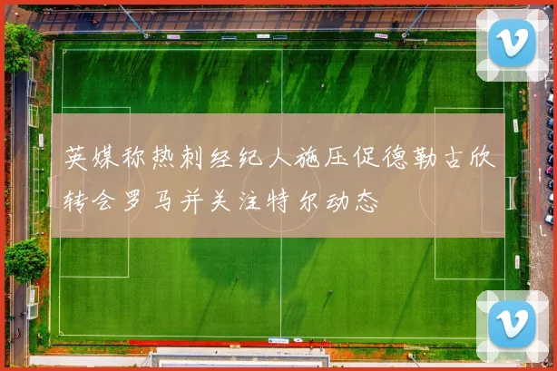 英媒称热刺经纪人施压促德勒古欣转会罗马并关注特尔动态
