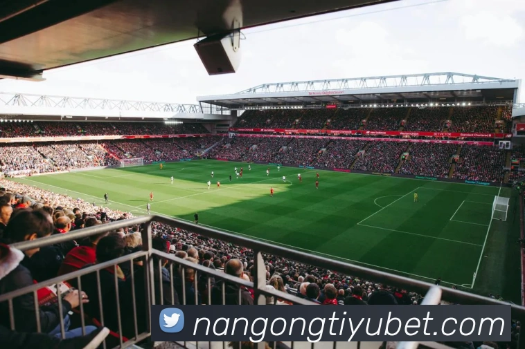 App Interface Preview