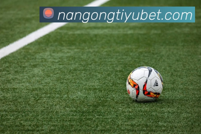 南宫体育APP 封面图